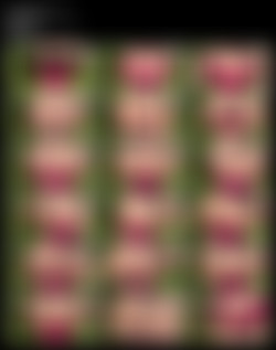 Kassiopeia1/Screens/514257998495887362.jpg