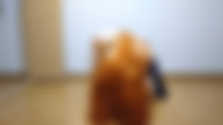 20-01/Kigurumi masturbation while smells the socks(Pleated skirt, Ankle socks)-ph5e0c50a83f14d.mp4