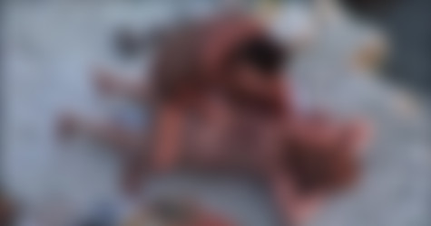 SxBeach_Add008/bh_2213.avi