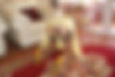 SugarBabes Set260-262/sc3_Sugarbabe_Set260/su260x002.jpg