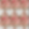 [Fansly.Com] PolaRainbow - SiteRip/Video Screens